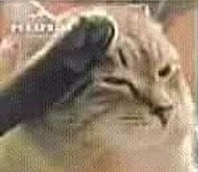 your_profile_picture